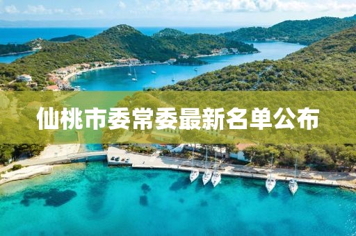 仙桃市委常委最新名單公布