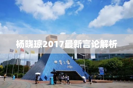 楊曉瓊2017最新言論解析