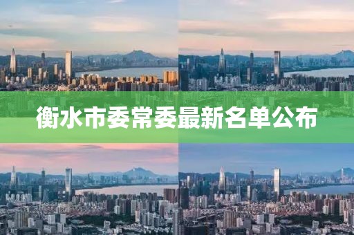 衡水市委常委最新名單公布