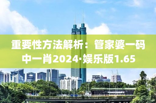 重要性方法解析：管家婆一碼中一肖2024·娛樂版1.65