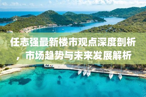 任志強最新樓市觀點深度剖析，市場趨勢與未來發(fā)展解析