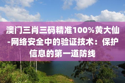 澳門(mén)三肖三碼精準(zhǔn)100%黃大仙-網(wǎng)絡(luò)安全中的驗(yàn)證技術(shù)：保護(hù)信息的第一道防線