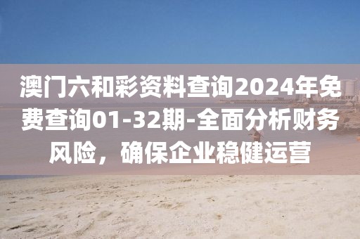 澳門(mén)六和彩資料查詢2024年免費(fèi)查詢01-32期-全面分析財(cái)務(wù)風(fēng)險(xiǎn)，確保企業(yè)穩(wěn)健運(yùn)營(yíng)