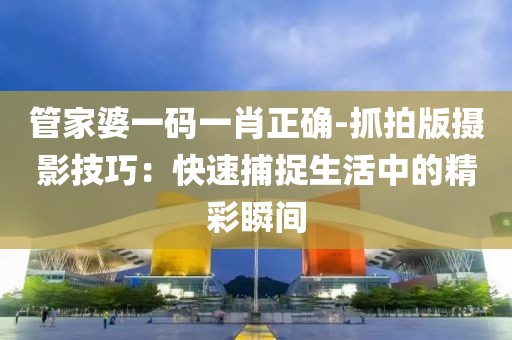 管家婆一碼一肖正確-抓拍版攝影技巧：快速捕捉生活中的精彩瞬間