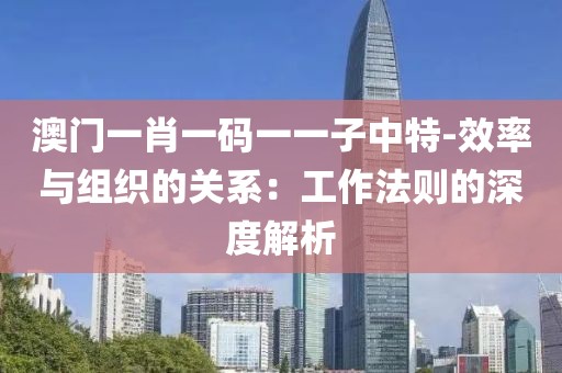 澳門一肖一碼一一子中特-效率與組織的關(guān)系：工作法則的深度解析