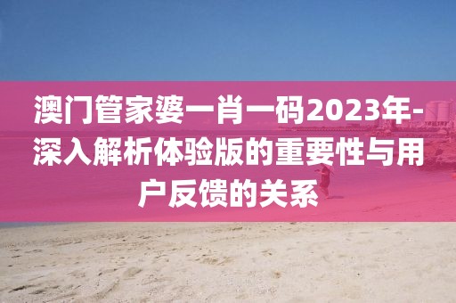 澳門管家婆一肖一碼2023年-深入解析體驗(yàn)版的重要性與用戶反饋的關(guān)系