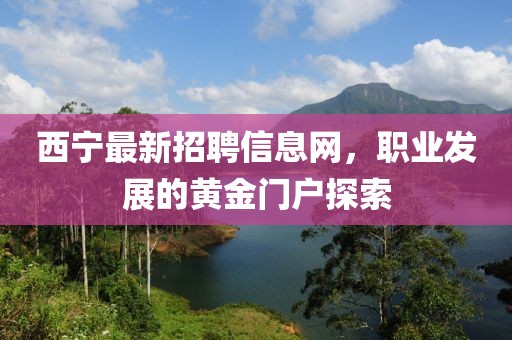 西寧最新招聘信息網(wǎng)，職業(yè)發(fā)展的黃金門戶探索