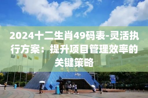 2024十二生肖49碼表-靈活執(zhí)行方案：提升項(xiàng)目管理效率的關(guān)鍵策略