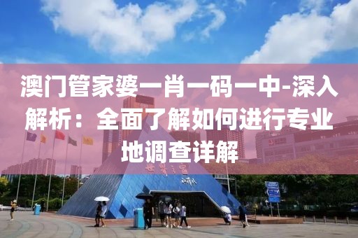 澳門管家婆一肖一碼一中-深入解析：全面了解如何進行專業(yè)地調查詳解