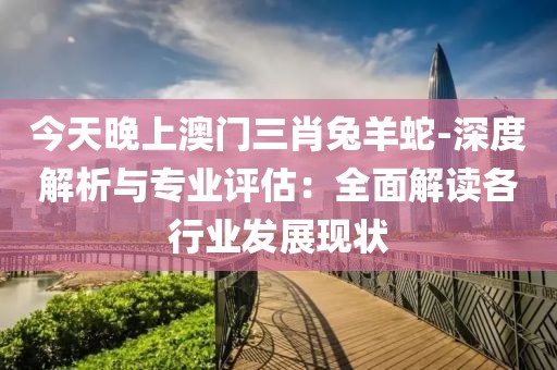 今天晚上澳門三肖兔羊蛇-深度解析與專業(yè)評估：全面解讀各行業(yè)發(fā)展現(xiàn)狀