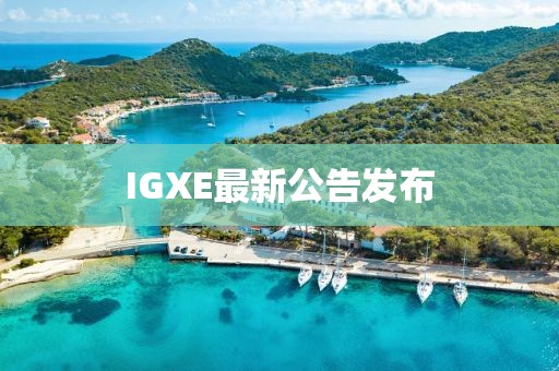 IGXE最新公告發(fā)布