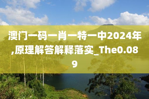 澳門(mén)一碼一肖一特一中2024年,原理解答解釋落實(shí)_The0.089