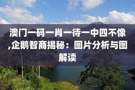 澳門一碼一肖一待一中四不像,企鵝智商揭秘：圖片分析與圖解讀