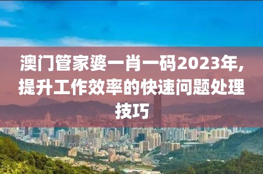 澳門管家婆一肖一碼2023年,提升工作效率的快速問題處理技巧