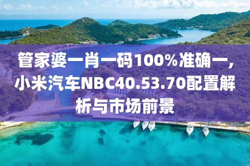 管家婆一肖一碼100%準(zhǔn)確一,小米汽車NBC40.53.70配置解析與市場(chǎng)前景