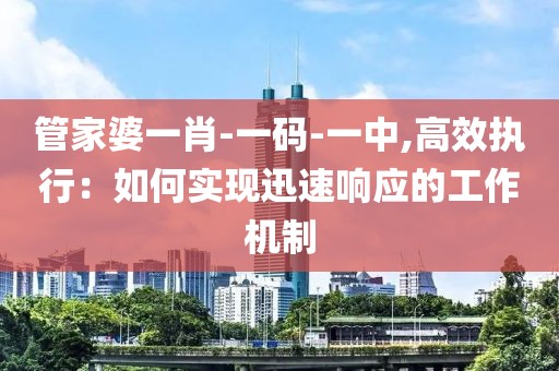 管家婆一肖-一碼-一中,高效執(zhí)行：如何實現(xiàn)迅速響應(yīng)的工作機制