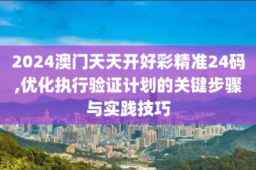 2024澳門天天開好彩精準24碼,優(yōu)化執(zhí)行驗證計劃的關(guān)鍵步驟與實踐技巧