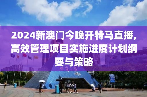 2024新澳門今晚開特馬直播,高效管理項目實施進度計劃綱要與策略