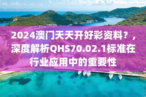 2024澳門天天開好彩資料？,深度解析QHS70.02.1標(biāo)準(zhǔn)在行業(yè)應(yīng)用中的重要性