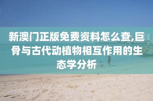 新澳門正版免費(fèi)資料怎么查,巨骨與古代動植物相互作用的生態(tài)學(xué)分析