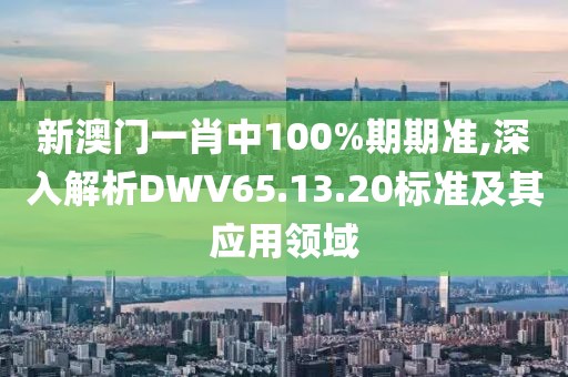 新澳門一肖中100%期期準,深入解析DWV65.13.20標準及其應(yīng)用領(lǐng)域