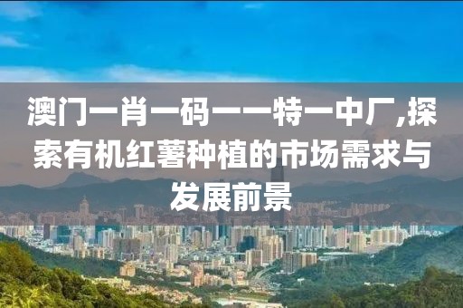 澳門一肖一碼一一特一中廠,探索有機(jī)紅薯種植的市場需求與發(fā)展前景