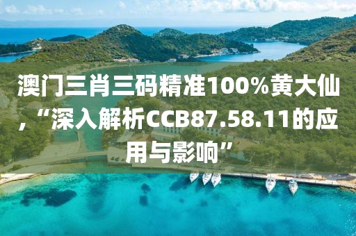 澳門三肖三碼精準(zhǔn)100%黃大仙,“深入解析CCB87.58.11的應(yīng)用與影響”