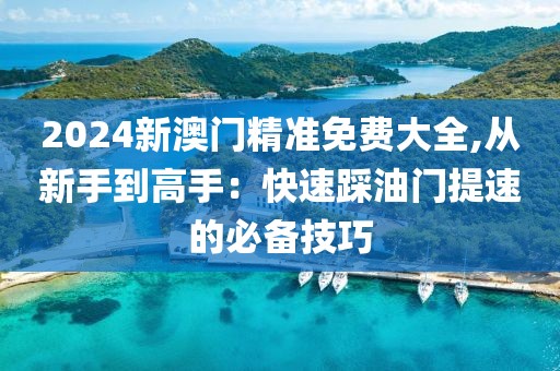 2024新澳門精準免費大全,從新手到高手：快速踩油門提速的必備技巧