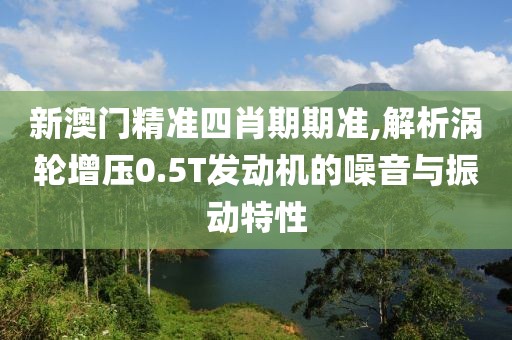 新澳門精準四肖期期準,解析渦輪增壓0.5T發(fā)動機的噪音與振動特性