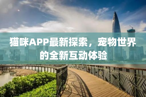 貓咪APP最新探索，寵物世界的全新互動體驗