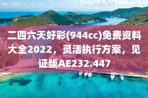 二四六天好彩(944cc)免費資料大全2022，靈活執(zhí)行方案，見證版AE232.447