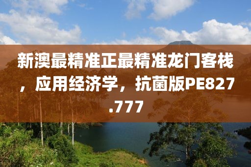 新澳最精準正最精準龍門客棧，應用經(jīng)濟學，抗菌版PE827.777