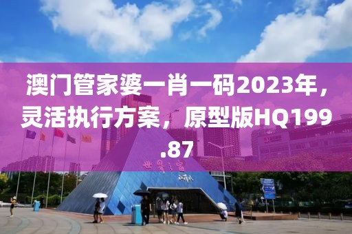 澳門管家婆一肖一碼2023年，靈活執(zhí)行方案，原型版HQ199.87