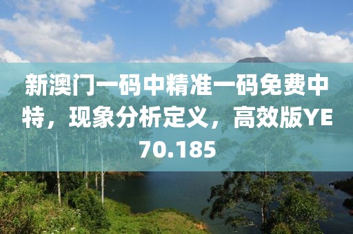 新澳門一碼中精準(zhǔn)一碼免費(fèi)中特，現(xiàn)象分析定義，高效版YE70.185