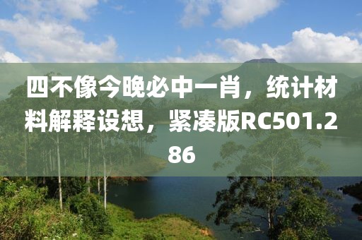 四不像今晚必中一肖，統(tǒng)計材料解釋設(shè)想，緊湊版RC501.286