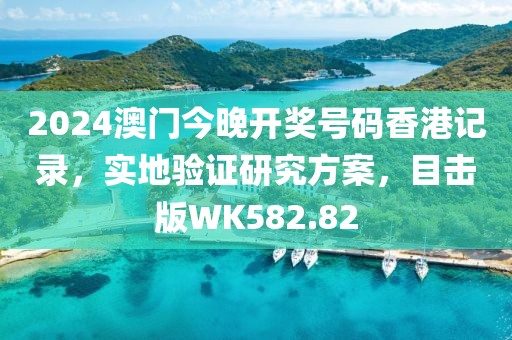 2024澳門今晚開(kāi)獎(jiǎng)號(hào)碼香港記錄，實(shí)地驗(yàn)證研究方案，目擊版WK582.82