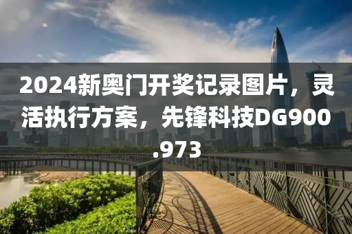 2024新奧門開獎記錄圖片，靈活執(zhí)行方案，先鋒科技DG900.973