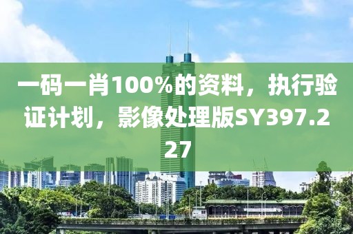 一碼一肖100%的資料，執(zhí)行驗證計劃，影像處理版SY397.227