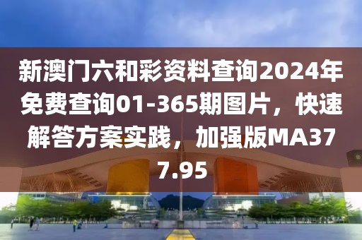 新澳門六和彩資料查詢2024年免費查詢01-365期圖片，快速解答方案實踐，加強版MA377.95