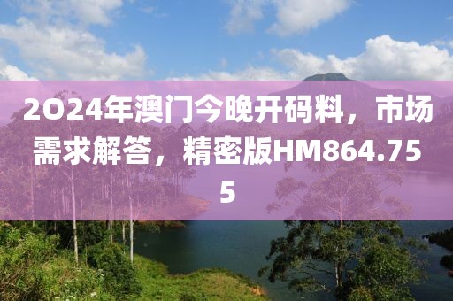 2O24年澳門今晚開碼料，市場需求解答，精密版HM864.755