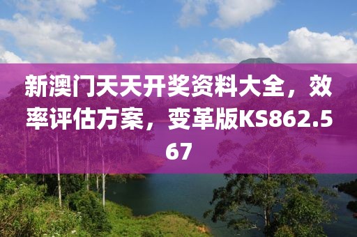 新澳門天天開獎資料大全，效率評估方案，變革版KS862.567