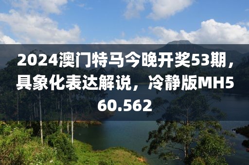 2024澳門特馬今晚開獎53期，具象化表達解說，冷靜版MH560.562