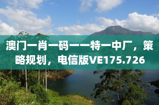 澳門一肖一碼一一特一中廠，策略規(guī)劃，電信版VE175.726