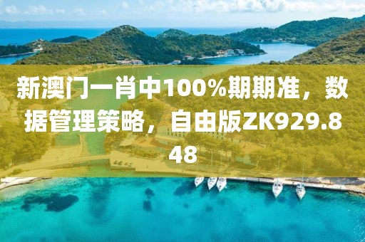 新澳門一肖中100%期期準(zhǔn)，數(shù)據(jù)管理策略，自由版ZK929.848