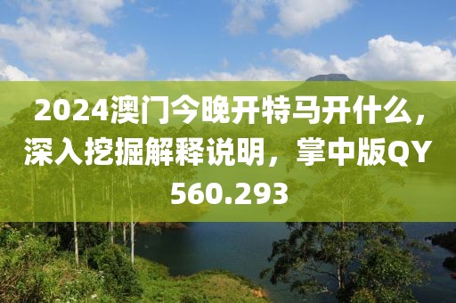 2024澳門今晚開特馬開什么，深入挖掘解釋說明，掌中版QY560.293