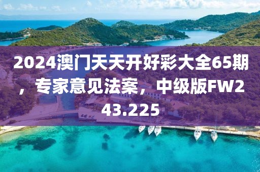 2024澳門天天開好彩大全65期，專家意見法案，中級版FW243.225