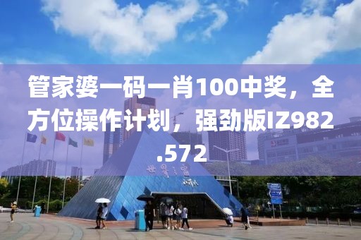 管家婆一碼一肖100中獎，全方位操作計劃，強(qiáng)勁版IZ982.572