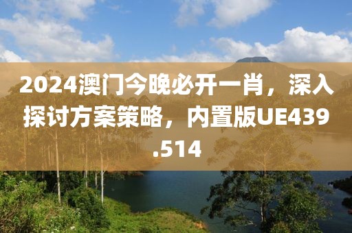 2024澳門今晚必開一肖，深入探討方案策略，內(nèi)置版UE439.514