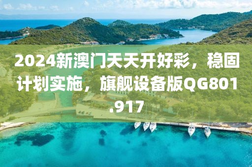 2024新澳門天天開好彩，穩(wěn)固計劃實施，旗艦設備版QG801.917