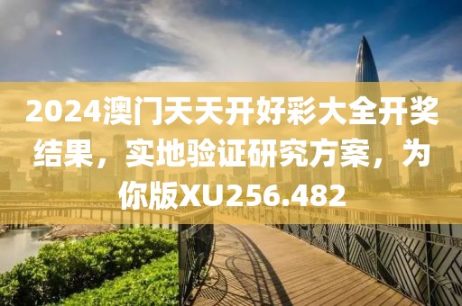 2024澳門天天開好彩大全開獎(jiǎng)結(jié)果，實(shí)地驗(yàn)證研究方案，為你版XU256.482